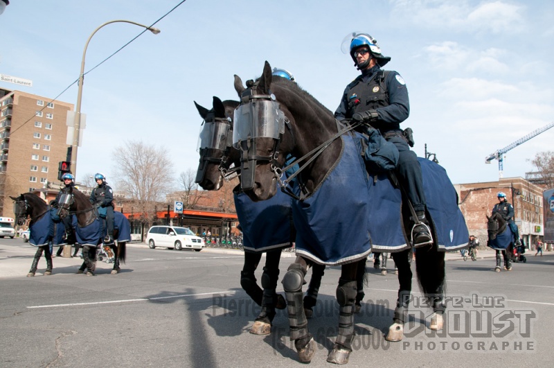 Police-cavalerie-SPVM PLD 20110501 159.1000