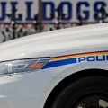Police-Bulldogs_PLD_20140705_010.1000.jpg