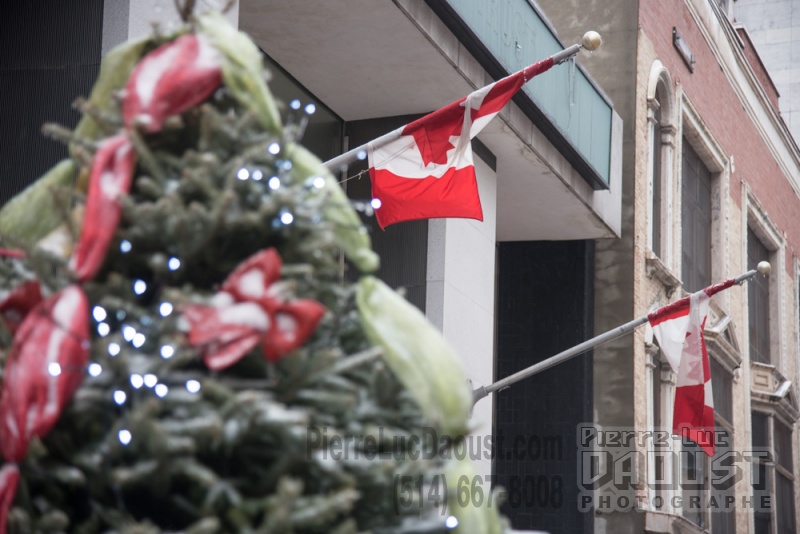 Sapin-Noel-drapeaux-Canada_PLD_20151227_015.1000.jpg