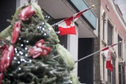 Sapin-Noel-drapeaux-Canada PLD 20151227 015.1000