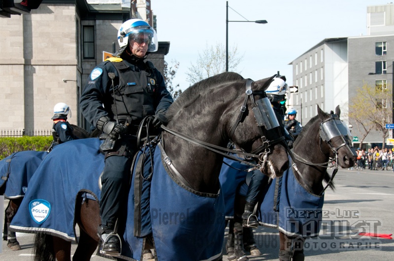 Police-cavalerie-SPVM_PLD_20110501_207.1000.jpg
